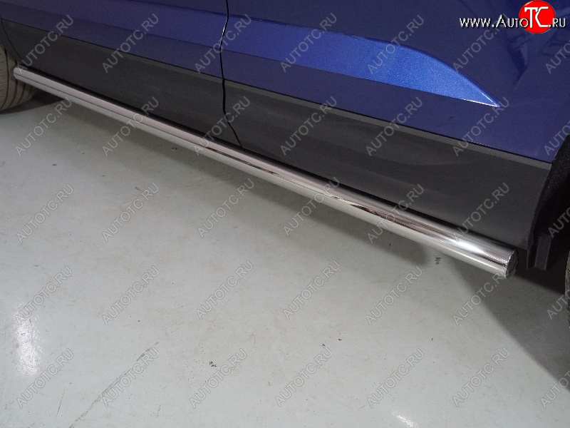 24 949 р. Защита порогов труба d60,3 мм ТСС Тюнинг  Volkswagen Taos (2020-2022) (серые)  с доставкой в г. Майкоп