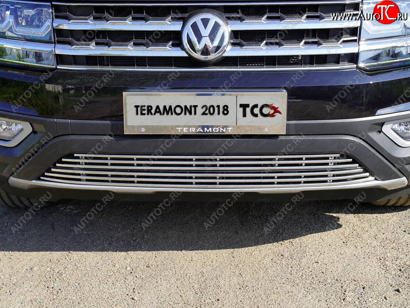 8 799 р. Нижняя декоративная вставка в бампер ТСС Тюнинг  Volkswagen Teramont  CA1 (2016-2020) дорестайлинг (d 12 мм)  с доставкой в г. Майкоп