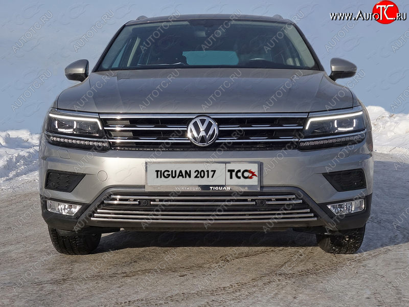 7 349 р. Нижняя декоративная вставка в бампер (пакет Offroad) ТСС Тюнинг  Volkswagen Tiguan  Mk2 (2016-2020) дорестайлинг (d 16 мм)  с доставкой в г. Майкоп