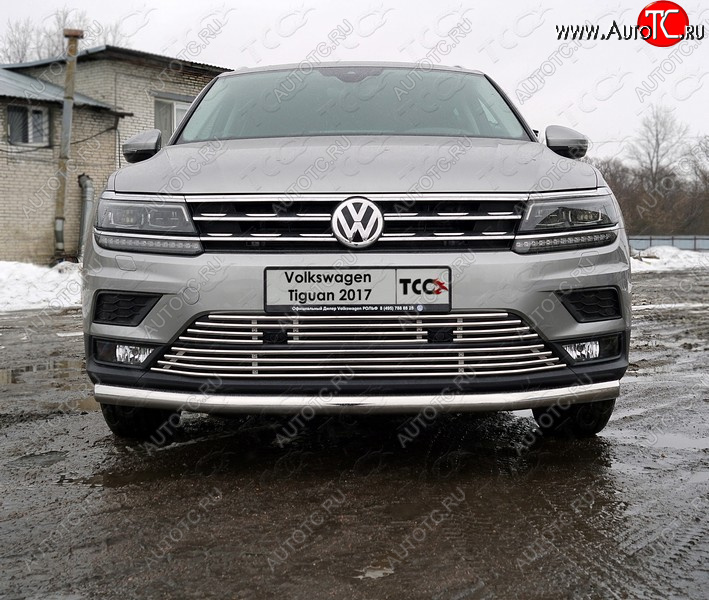 5 999 р. Верхняя декоративная вставка решетки радиатора ТСС Тюнинг  Volkswagen Tiguan  Mk2 (2016-2020) дорестайлинг (d 12 мм)  с доставкой в г. Майкоп