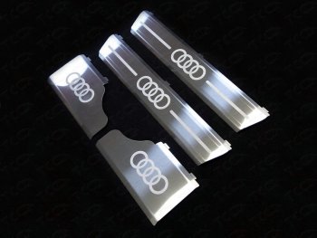 Накладки на пороги ТСС Тюнинг Audi Q7  4M (2015-2020) дорестайлинг (лист шлифованный, логотип audi)