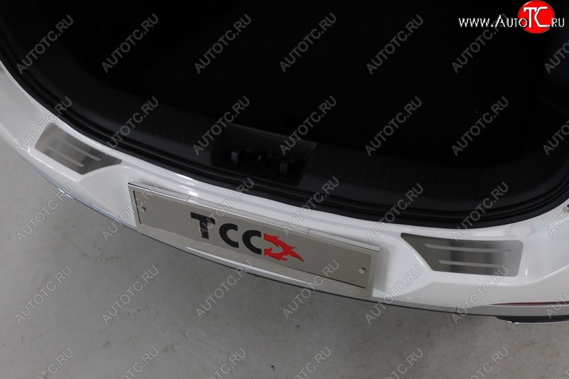 3 099 р. Накладки на задний бампер, ТСС Тюнинг  Chery Tiggo 7 PRO (2019-2025) (лист шлифованный с полосой)  с доставкой в г. Майкоп