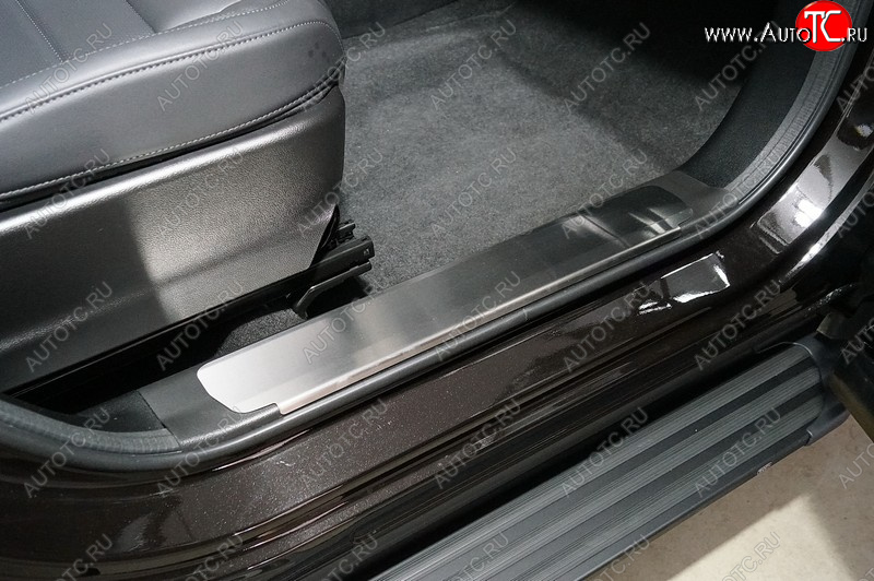 2 989 р. Накладки на пластиковые пороги, ТСС Тюнинг  Haval F7x (2022-2024) рестайлинг (лист шлифованный)  с доставкой в г. Майкоп