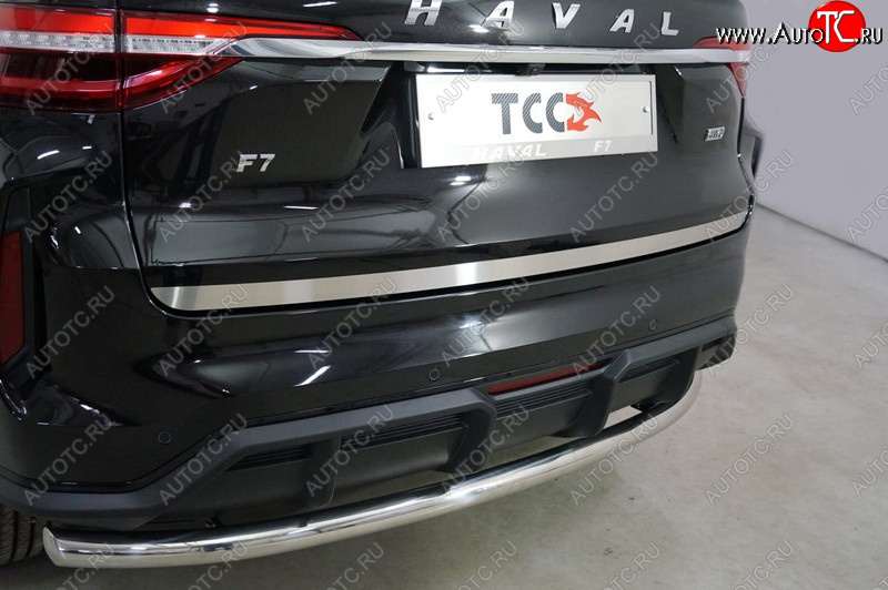 2 199 р. Накладка на заднюю дверь, ТСС Тюнинг  Haval F7 (2022-2024) рестайлинг (Лист шлифованный)  с доставкой в г. Майкоп