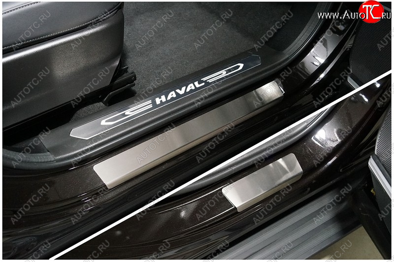 2 399 р. Накладки на пороги, ТСС Тюнинг  Haval F7 (2022-2024) рестайлинг (лист шлифованный)  с доставкой в г. Майкоп