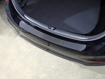 Накладки на задний бампер, ТСС Тюнинг Hyundai Solaris  HCR (2017-2020) седан дорестайлинг (лист шлифованный)