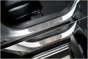 Накладки на пороги, ТСС Тюнинг Hyundai Santa Fe  TM (2020-2022) рестайлинг (лист шлифованный)