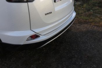 Накладки на задний бампер, ТСС Тюнинг Toyota RAV4  XA40 (2015-2019) 5 дв. рестайлинг (лист шлифованный)
