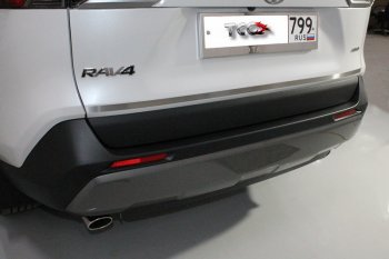 Накладка на заднюю дверь, ТСС Тюнинг Toyota RAV4  XA50 (2018-2025) 5 дв. дорестайлинг (Лист шлифованный)