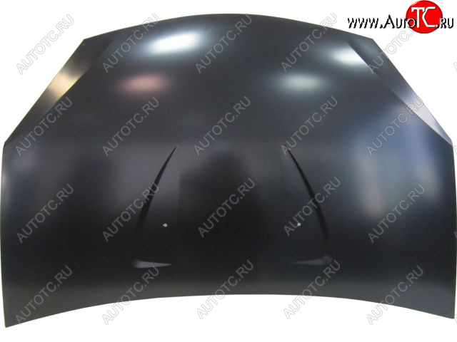 12 999 р. SANDERO 08- КАПОТ (Китай) BODYPARTS rnsan08-331  с доставкой в г. Майкоп