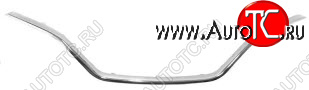 3 069 р. KAPTUR МОЛДИНГ РЕШЕТКИ РАДИАТОРА ХРОМ (Китай) BODYPARTS rnktr16-121  с доставкой в г. Майкоп