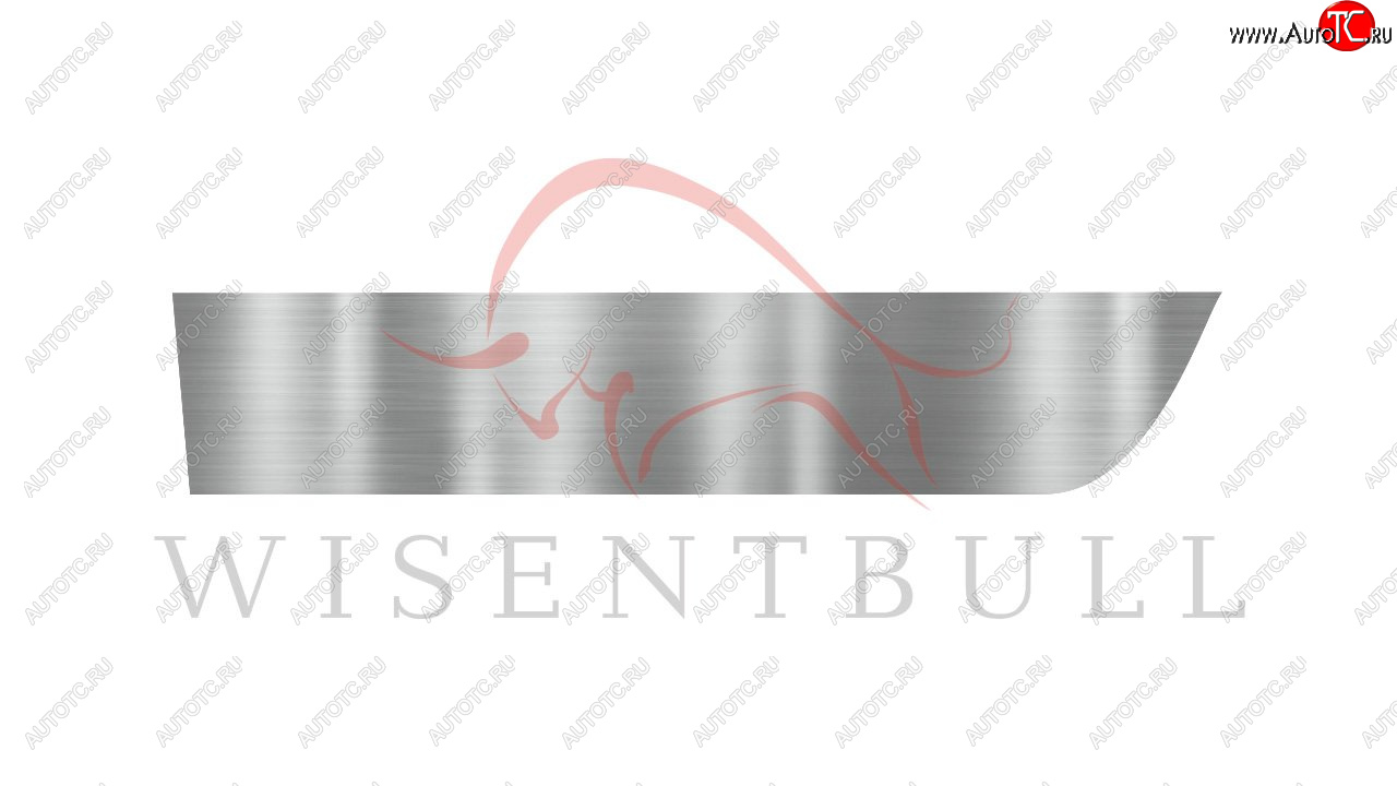 1 989 р. Ремкомплект левой двери Wisentbull  BMW 3 серия  E92 (2005-2014) купе дорестайлинг, купе рестайлинг  с доставкой в г. Майкоп