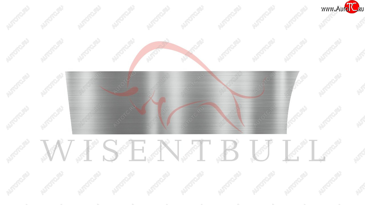 1 989 р. Ремкомплект левой двери Wisentbull Toyota Opa (2000-2005)  с доставкой в г. Майкоп