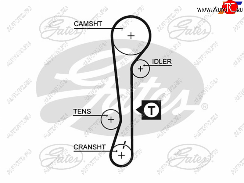 1 449 р. Ремень ГРМ HYUNDAI ACCENT 1.61.4 16V 06-KIA RIO1.41.6 16V 05-11CERATO 04-09 GATES 5479XS  с доставкой в г. Майкоп