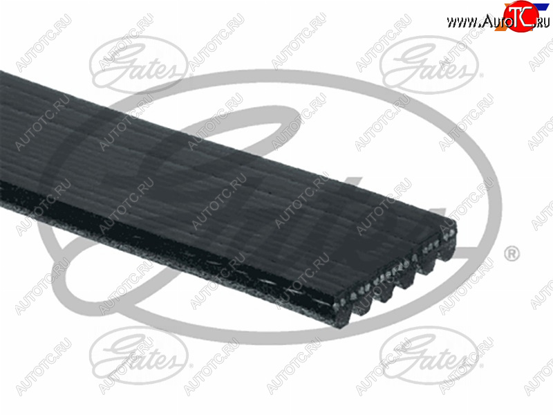 2 099 р. Ремень поликлиновой HYUNDAI SOLARISCRETAKIA RIO-11CERATO 06-(с ГУР)HONDA ACCORD 06-ODYSSEY 04- GATES 6PK2138  с доставкой в г. Майкоп