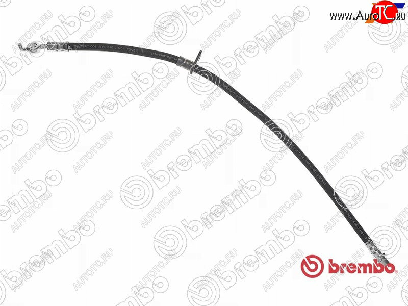 2 699 р. Шланг тормозной передний LH=RH BREMBO Lexus ES300 XV30 дорестайлинг (2001-2003)  с доставкой в г. Майкоп