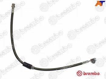Шланг тормозной передний LH=RH BREMBO Skoda Octavia ( A5,  A7,  A8) (2004-2022), Skoda Yeti (2009-2018), Volkswagen Golf  5 (2003-2009), Volkswagen Jetta ( А2,  A5,  A6,  A7) (1984-2022)