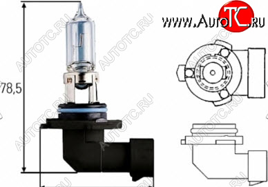 88 р. H10 (12V-42W  PY20D) ЛАМПА УПАКОВКА (1 шт) BLICK BODYPARTS lph1000-980-o  с доставкой в г. Майкоп