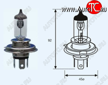 168 р. H4 (12V-60-55W  P43T) ЛАМПА УПАКОВКА (1 шт) SELUM BODYPARTS lp0h400-980-o  с доставкой в г. Майкоп