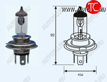212 р. H4 (12V-60-55W  P43T Long Life) ЛАМПА УПАКОВКА (1 шт) SELUM BODYPARTS lp0h400-981-o  с доставкой в г. Майкоп