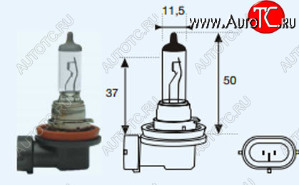 131 р. H11 (12V-55W  PG19-2) ЛАМПА УПАКОВКА (1 шт) BLICK BODYPARTS lph1100-980-o  с доставкой в г. Майкоп