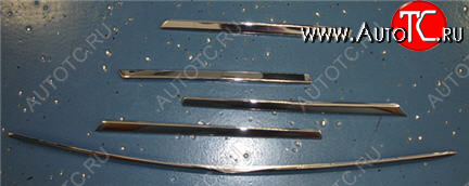 5 249 р. W163ML МОЛДИНГ РЕШЕТКИ РАДИАТОРА (5шт) (комплект) ТЮНИНГ (Тайвань) ХРОМ API md16398-120h  с доставкой в г. Майкоп
