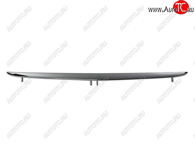 1 389 р. W168A МОЛДИНГ РЕШЕТКИ РАДИАТОРА НИЖН (Тайвань) ХРОМ TYG md16898-121h  с доставкой в г. Майкоп
