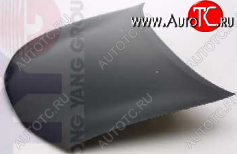 8 999 р. ROVER 200 КАПОТ (Тайвань) TYG rv20095-330  с доставкой в г. Майкоп