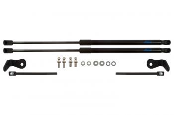 2 999 р. Упоры капота для FORD Focus, 2004-2008, к-т 2 шт  Форд Фокус Arbori arbori.hd.012103  с доставкой в г. Майкоп. Увеличить фотографию 1