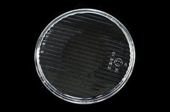 298 р. E34 88-95 {E32} СТЕКЛО ФАРЫ Л=П ДАЛЬН СВЕТА BodyParts bme3488-021-z  с доставкой в г. Майкоп. Увеличить фотографию 1
