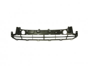 Центральная решетка переднего бампера (пр-во Тайвань) BODYPARTS Hyundai Santa Fe  CM (2009-2012) рестайлинг