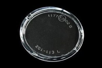 439 р. P12 02- {ALMERA 02-MICRA 02-QASHQAI 09-TEANA 08-LAGUNA 01-CLIO 01-} СТЕКЛО ФАРЫ ПРОТИВОТУМ ЛЕВ BodyParts nnp1202-080-l  с доставкой в г. Майкоп. Увеличить фотографию 1