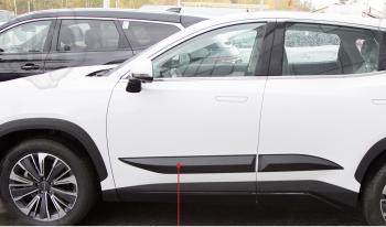 Молдинг двери задний левый Русская Артель Jetour Dashing (2022-2025)