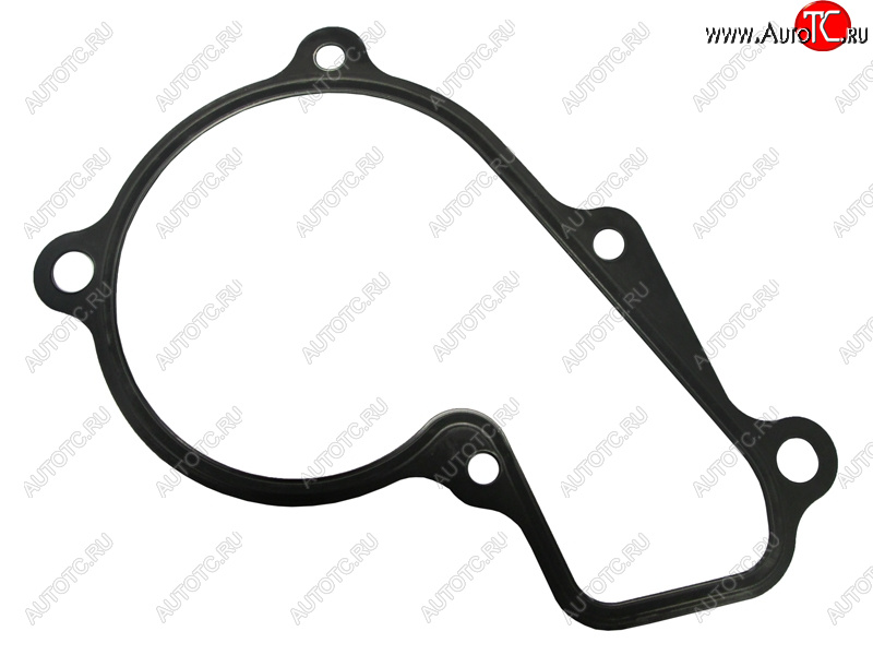 419 р. Прокладка насоса водяного охлаждения HYUNDAI CRETAELANTRATUCSONKIA CERATOSPORTAGE 17- G4NA 2,0 HYUNDAI 25124-2E000  с доставкой в г. Майкоп
