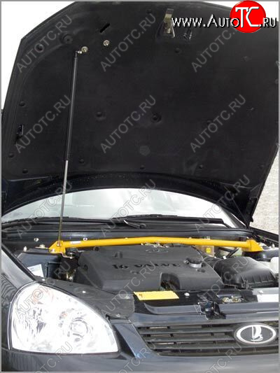 1 649 р. Упор капота Lada Priora ТехноМастер (без кронштейна) ТехноМастер 8231.0400.04  с доставкой в г. Майкоп