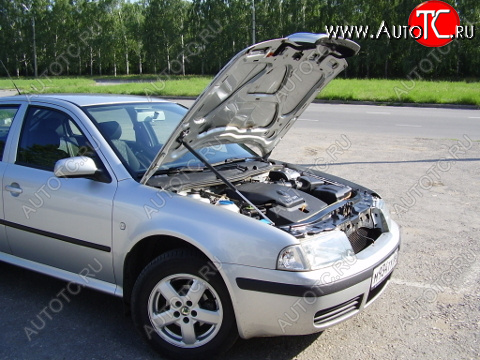 2 699 р. Упор капота Skoda Octavia Tour (1996-2011) ТехноМастер ТехноМастер 8231.5300.04  с доставкой в г. Майкоп
