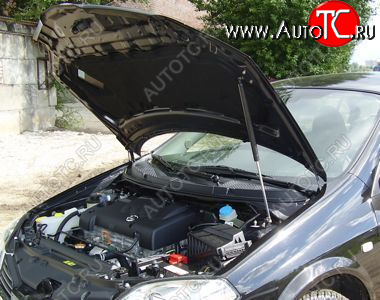 2 699 р. Упор капота Nissan Primera III (P12) (2001-2008) ТехноМастер ТехноМастер 8231.5600.04  с доставкой в г. Майкоп