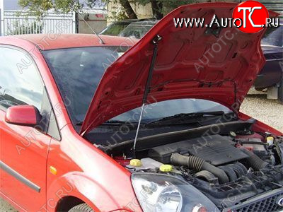 2 699 р. Упор капота Ford Fiesta V (2001-2009) ТехноМастер ТехноМастер 8231.5900.04  с доставкой в г. Майкоп