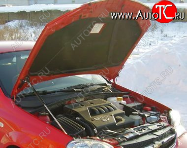 2 699 р. Упор капота Chevrolet Lacetti ТехноМастер ТехноМастер 8231.6200.04  с доставкой в г. Майкоп