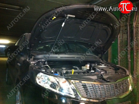 2 449 р. Упор капота KIA Rio III (2011-н.в.) ТехноМастер ТехноМастер 8231.7800.04  с доставкой в г. Майкоп