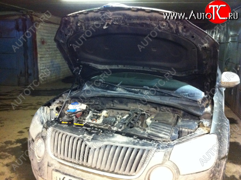 1 669 р. Упор капота Skoda Yeti I (2009-2013) ТехноМастер ТехноМастер 8231.8500.04  с доставкой в г. Майкоп