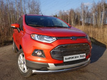 Защита переднего бампера нижняя овальная 75х42 мм ТСС Тюнинг Ford EcoSport (2013-2019) дорестайлинг (нержавейка)