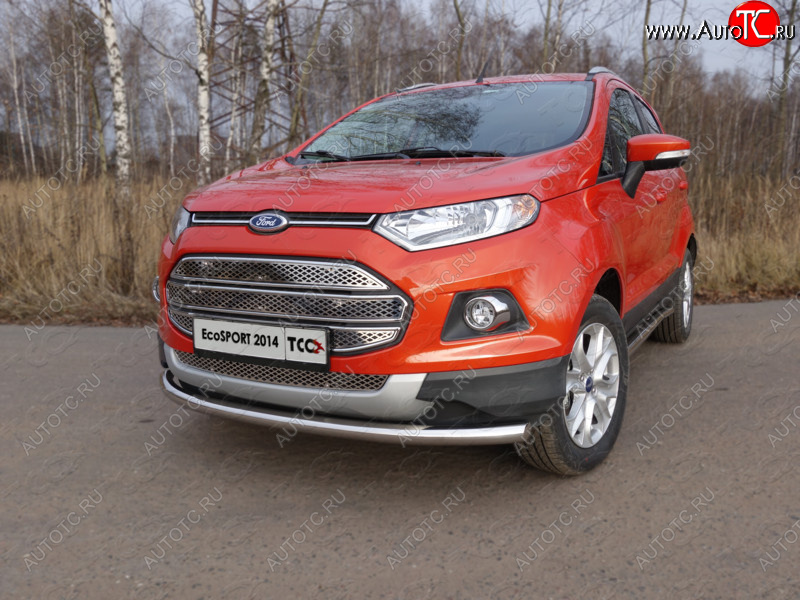 12 999 р. Защита переднего бампера нижняя d60,3 мм ТСС Тюнинг Ford EcoSport дорестайлинг (2013-2019) (нержавейка)  с доставкой в г. Майкоп