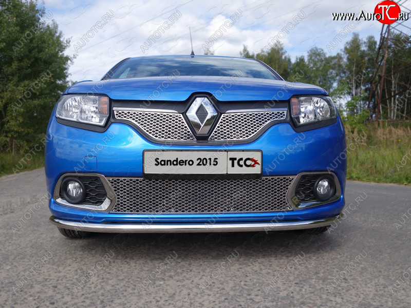 1 000 000 р. Вставка переднего бампера ТСС Тюнинг Renault Sandero (B8) дорестайлинг (2014-2018) (лист 16 мм)  с доставкой в г. Майкоп