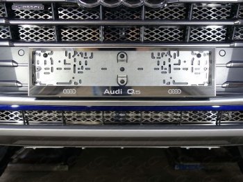 Рамка гос. номера ТСС Тюнинг Audi Q7 4M дорестайлинг (2015-2020) (нержавейка)