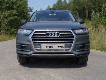 Рамка гос. номера ТСС Тюнинг Audi Q7 4M дорестайлинг (2015-2020) (нержавейка)