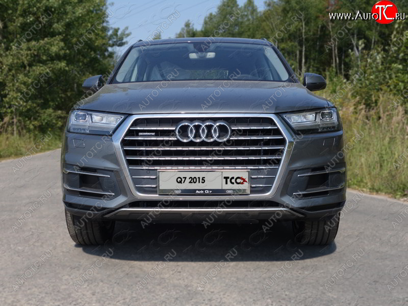 5 999 р. Рамка гос. номера ТСС Тюнинг Audi Q7 4M дорестайлинг (2015-2020) (нержавейка)  с доставкой в г. Майкоп
