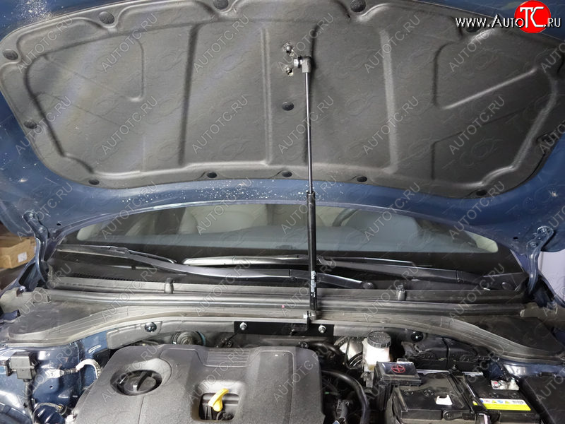 2 999 р. Упор капота ТСС Тюнинг HYUNDAI Elantra 2016-  hyunela1601y  с доставкой в г. Майкоп