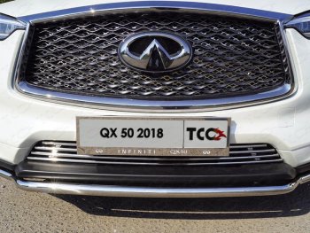 Рамка гос. номера ТСС Тюнинг INFINITI Qx50 J55 (2017-2022) (нержавейка)