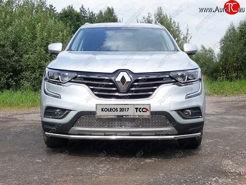 5 999 р. Рамка гос. номера ТСС Тюнинг Renault Koleos 2 (2016-2025) (нержавейка)  с доставкой в г. Майкоп